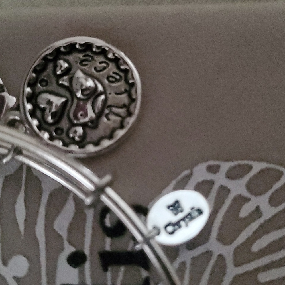 Niece Charm Bracelet with Pouch New!